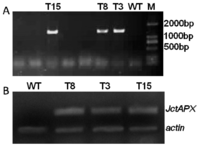 Ijms 15 00171f5 200