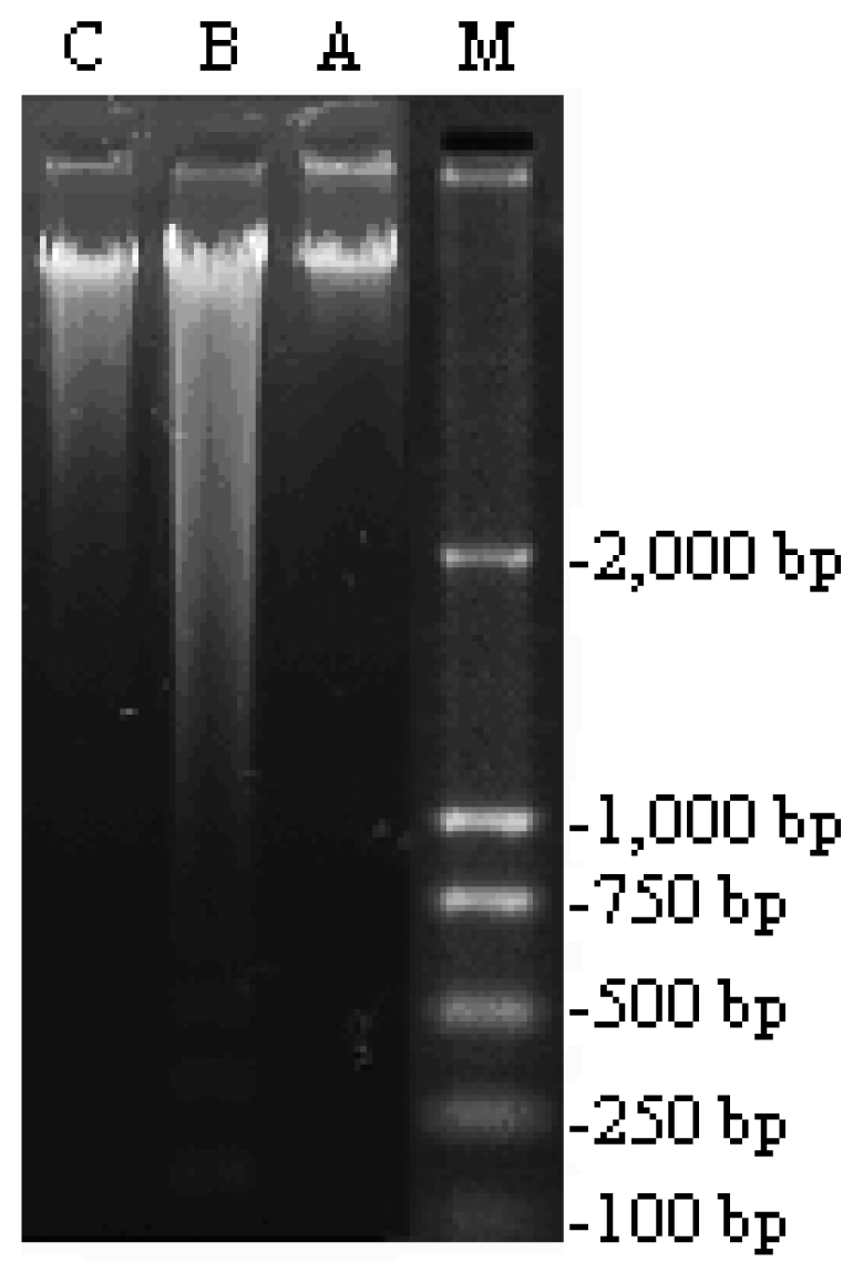 Ijms 15 00186f1 1024