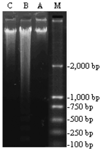 Ijms 15 00186f1 200