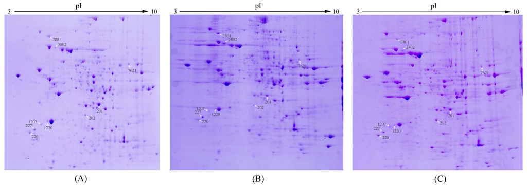 Ijms 15 00186f2 1024