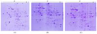 Ijms 15 00186f2 200