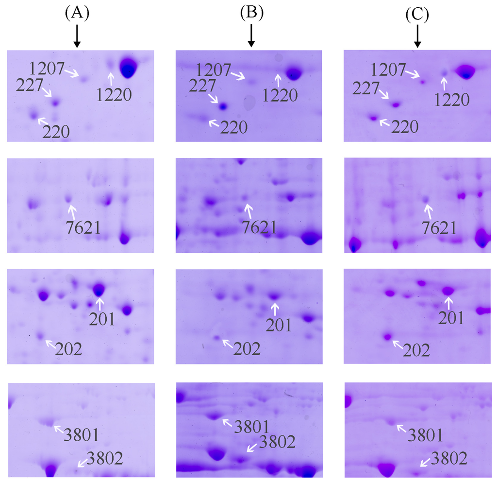 Ijms 15 00186f3 1024