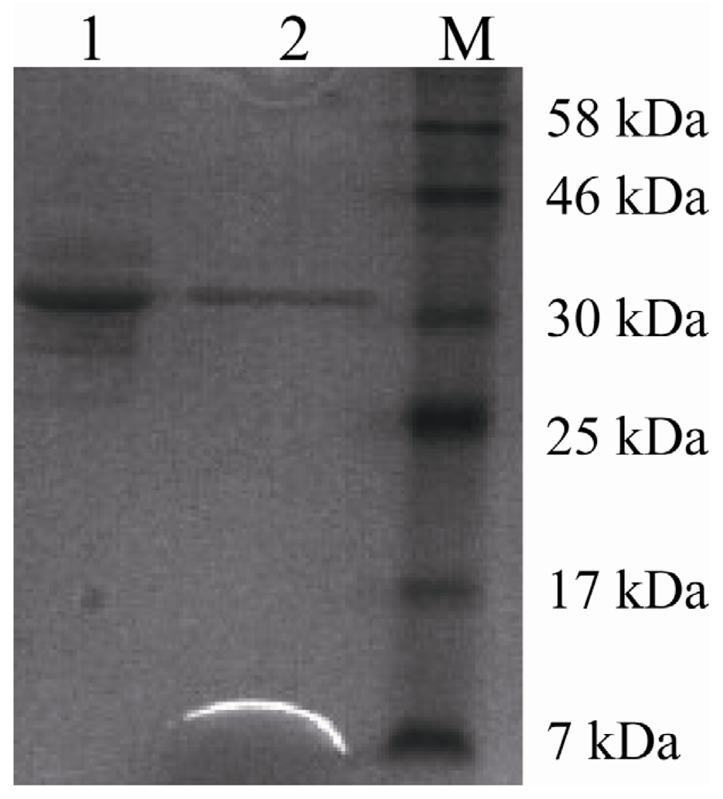Ijms 15 00203f2 1024