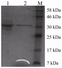 Ijms 15 00203f2 200