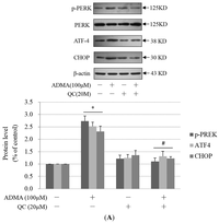 Ijms 15 00484f5a 200