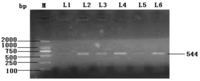 Ijms 15 00504f1 200