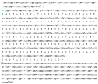 Ijms 15 00504f2 200