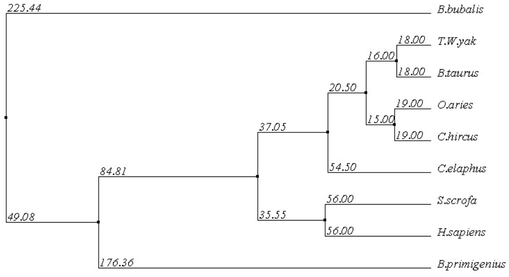 Ijms 15 00504f4 1024