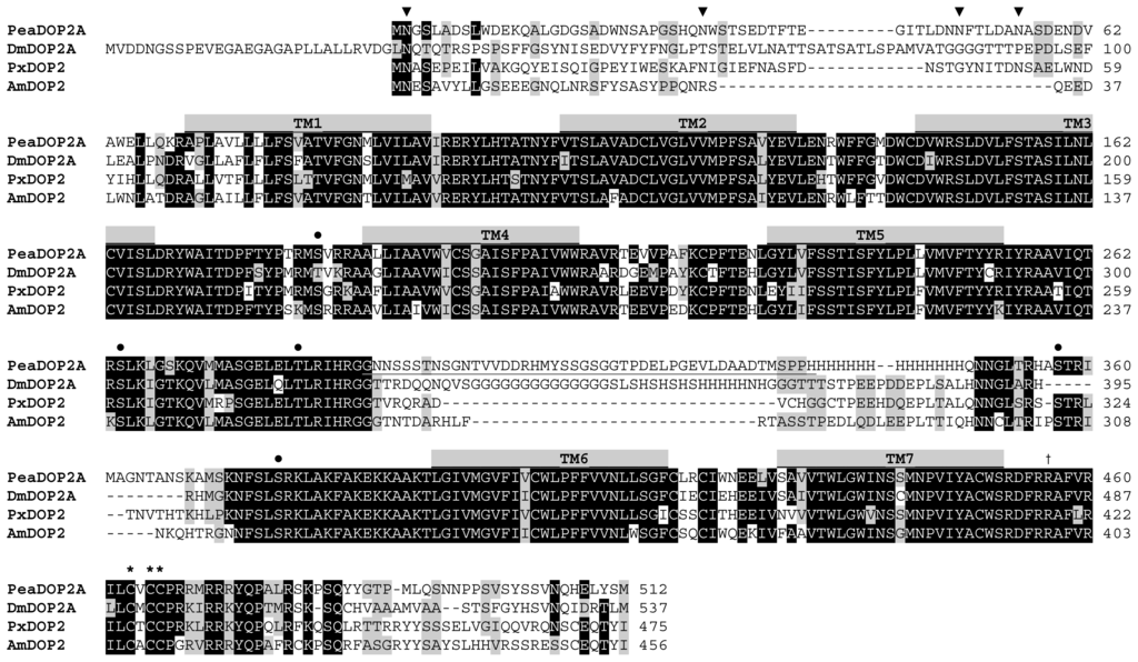 Ijms 15 00629f1 1024
