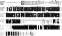 Ijms 15 00629f1 200