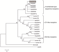Ijms 15 00629f2 200