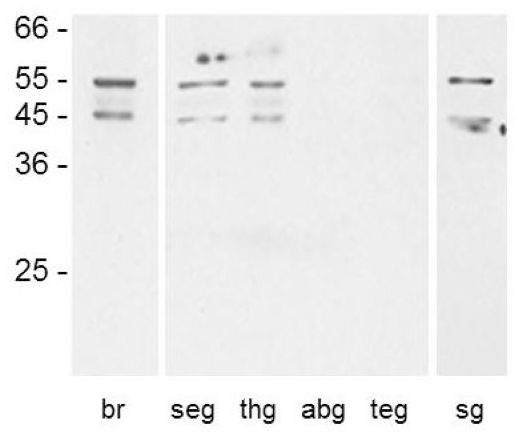 Ijms 15 00629f4 1024