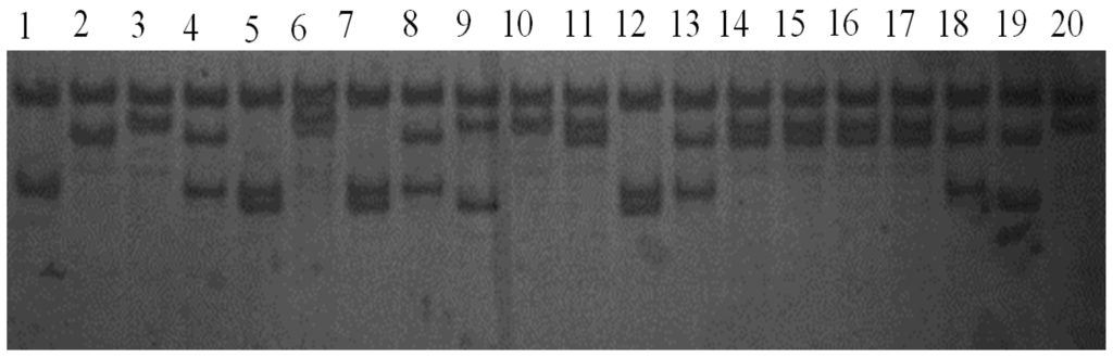Ijms 15 00670f1 1024
