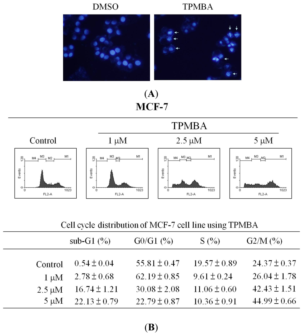 Ijms 15 00743f4a 1024