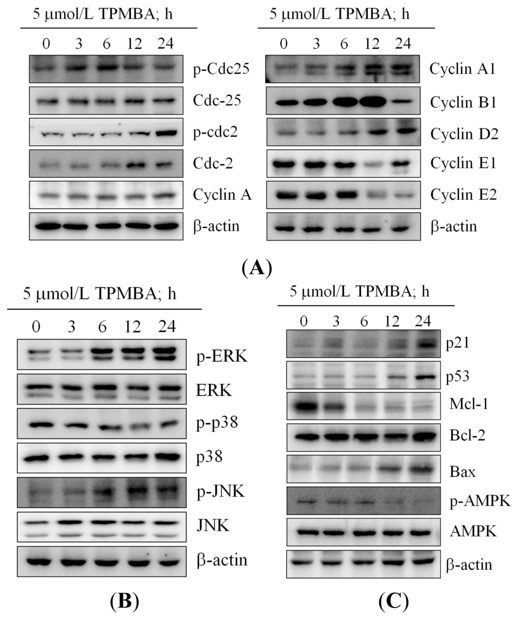 Ijms 15 00743f5 1024