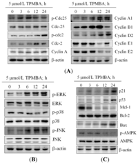 Ijms 15 00743f5 200