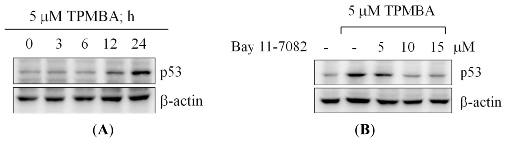 Ijms 15 00743f6 1024