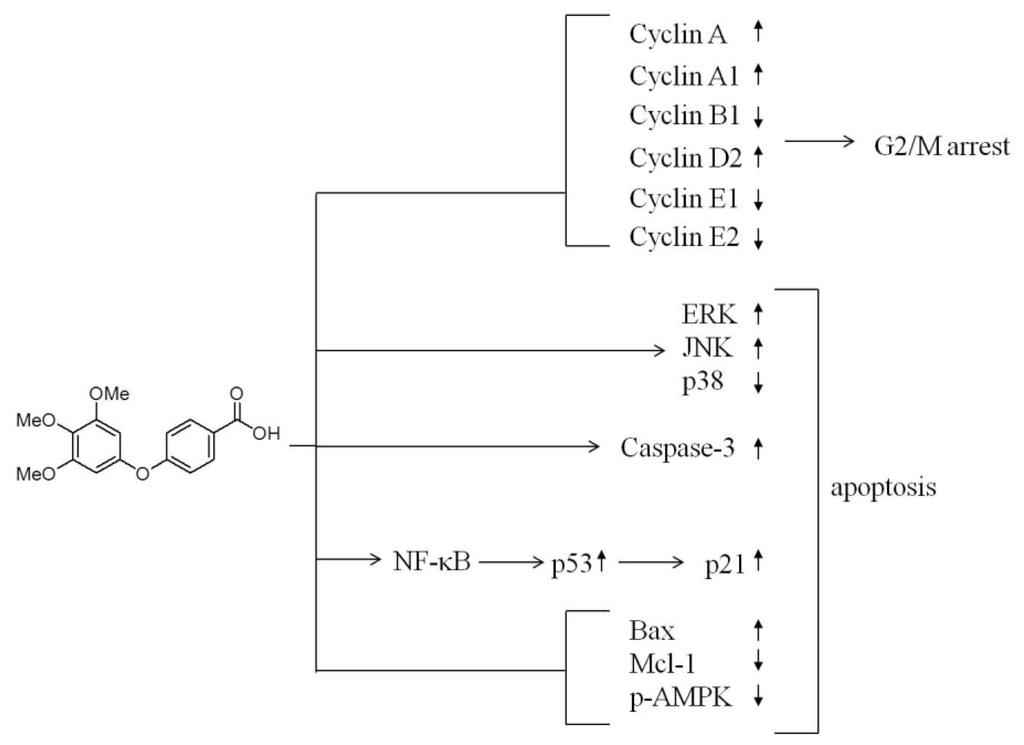 Ijms 15 00743f7 1024