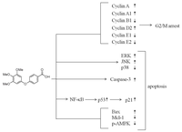 Ijms 15 00743f7 200