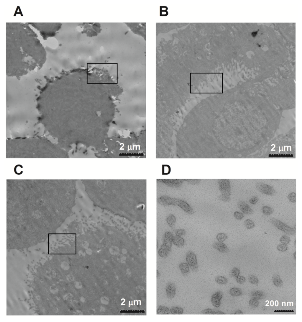 Ijms 15 00758f4 1024