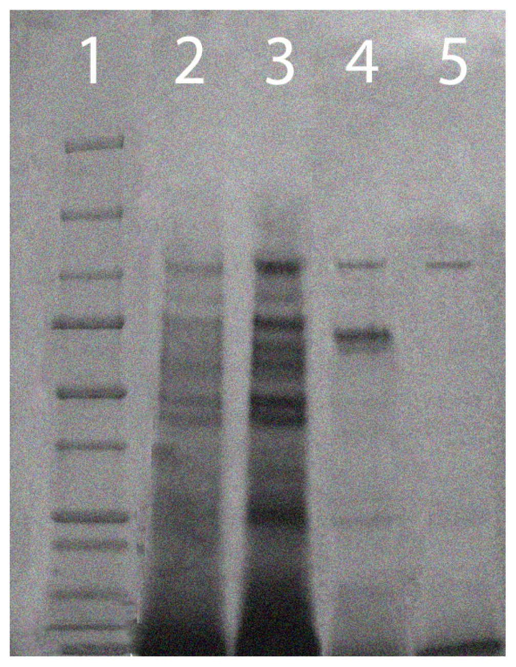 Ijms 15 00944f3 1024