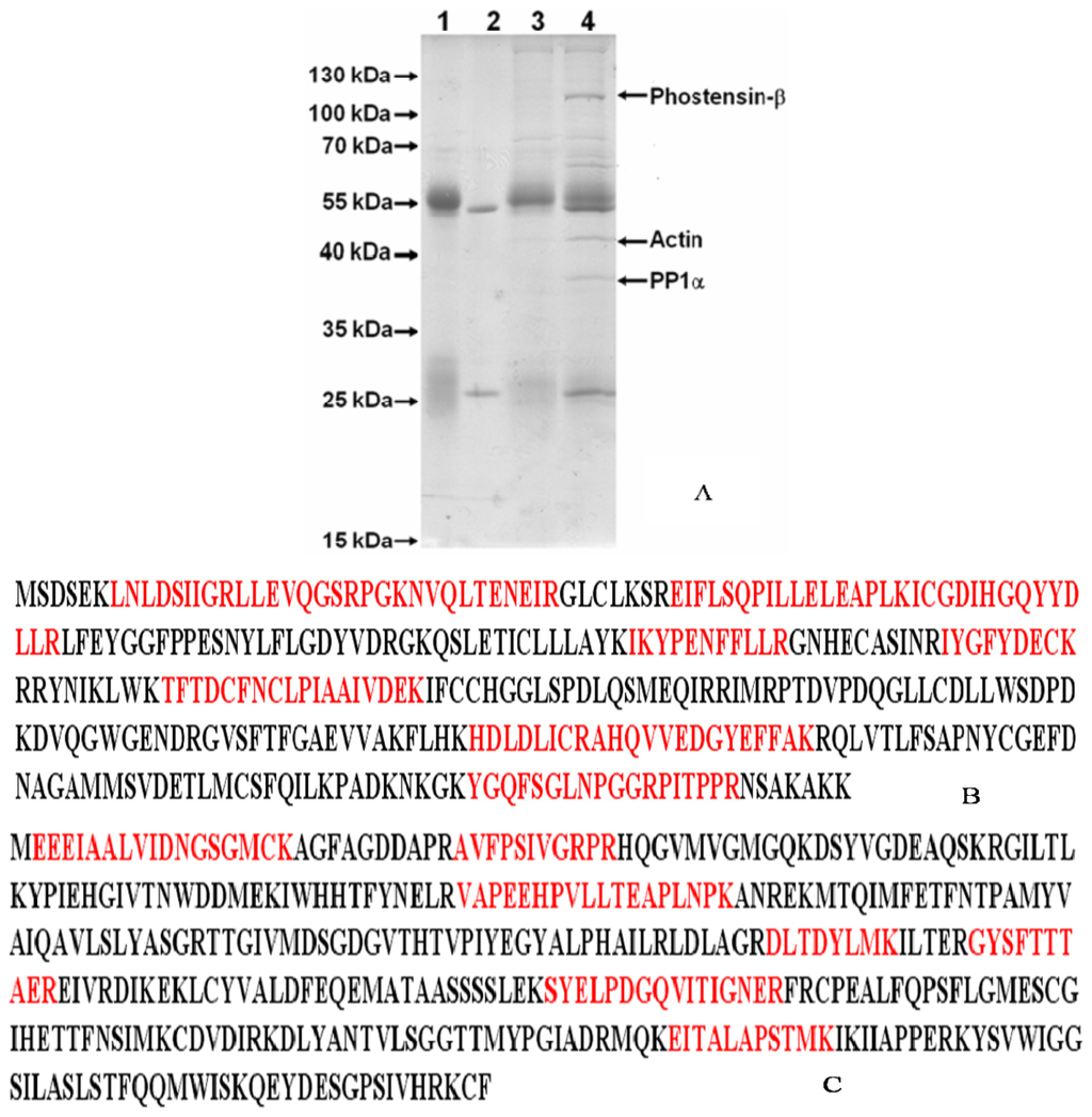 Ijms 15 01068f1 1024