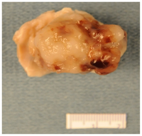 Ijms 15 01315f1 200