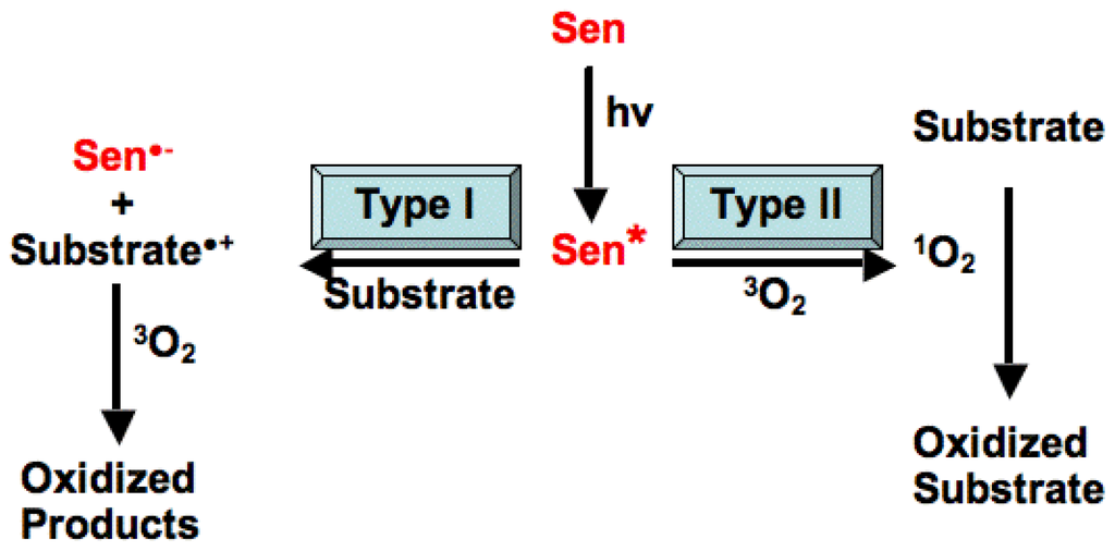 Ijms 15 01441f1 1024