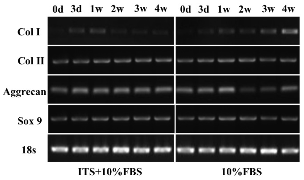 Ijms 15 01525f5 1024