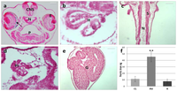 Ijms 15 01590f1 200