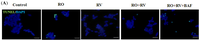 Ijms 15 01625f2a 200