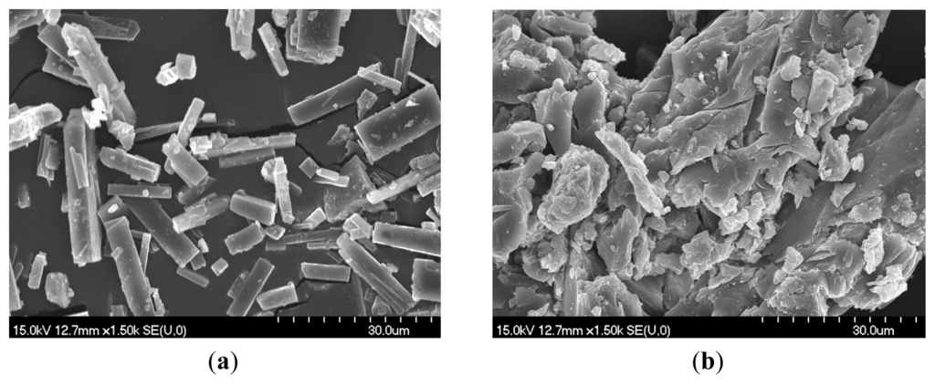 Ijms 15 01962f4a 1024
