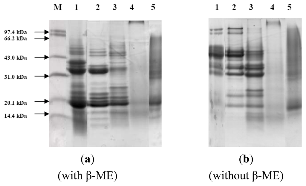Ijms 15 02003f2 1024