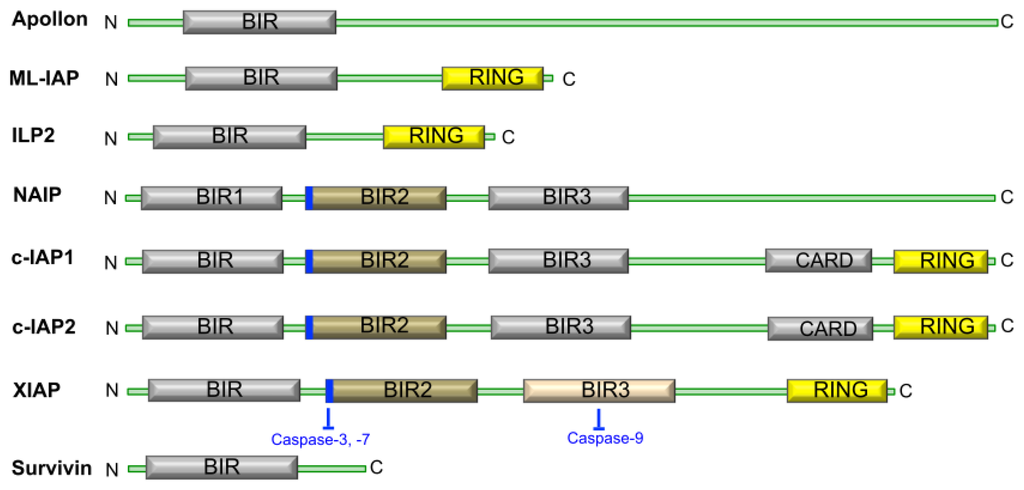 Ijms 15 02494f1 1024
