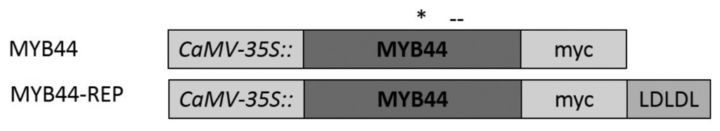 Ijms 15 02517f2 1024