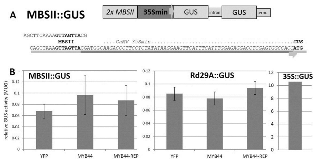 Ijms 15 02517f5 1024