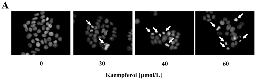 Ijms 15 02722f2a 1024