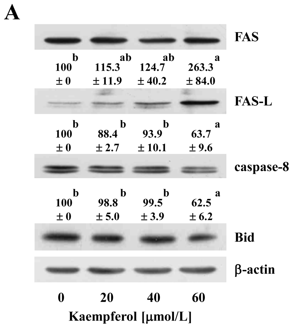 Ijms 15 02722f5a 1024