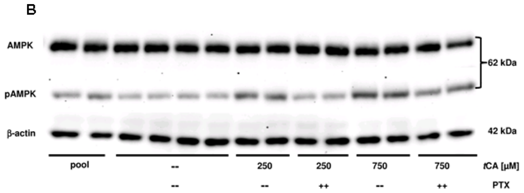 Ijms 15 02906f1b 1024