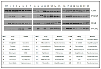 Ijms 15 03403f4 200