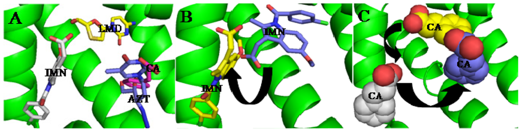 Ijms 15 03580f4 1024
