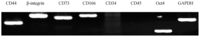 Ijms 15 03698f4 200