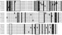 Ijms 15 03711f2 200