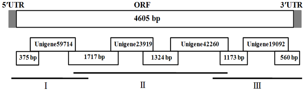 Ijms 15 03711f6 1024