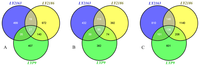 Ijms 15 03799f2 200