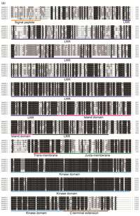 Ijms 15 03871f1a 200