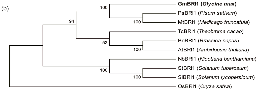Ijms 15 03871f1b 1024