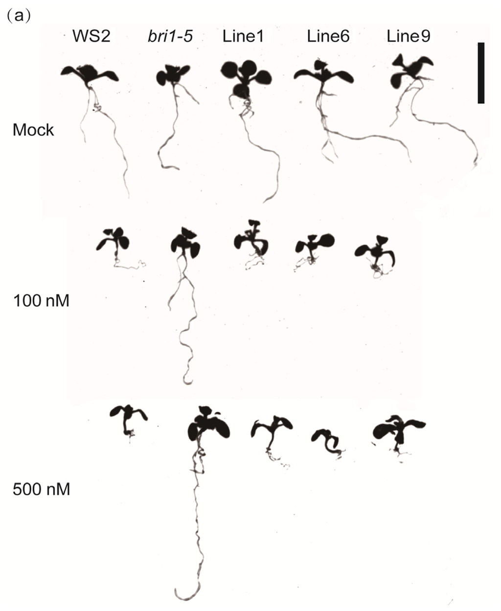 Ijms 15 03871f4a 1024