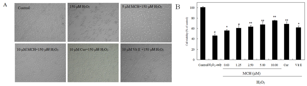 Ijms 15 03970f4 1024