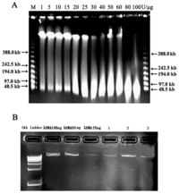 Ijms 15 04189f2 200